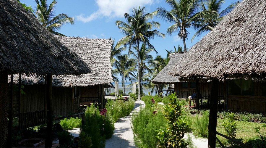Mangrove View Resort